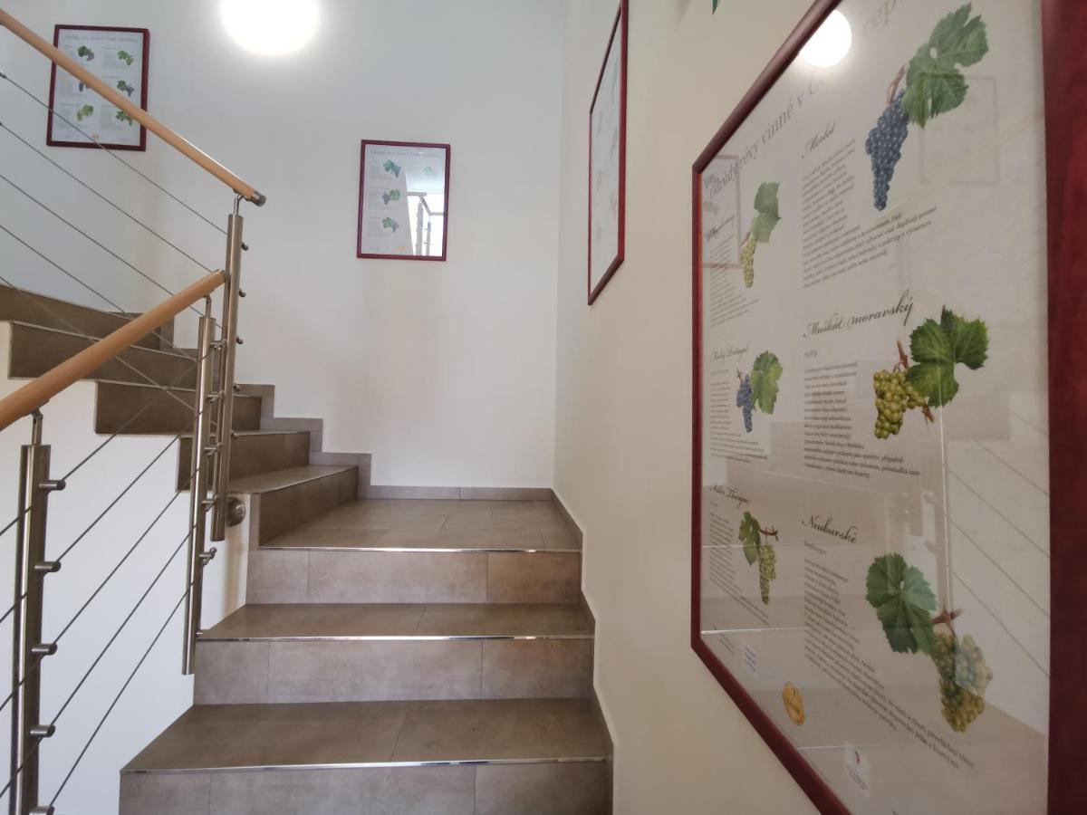 Comenius Moravus Vinarsky Dvur Микулов Екстериор снимка